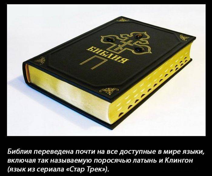Интересные факты в картинках