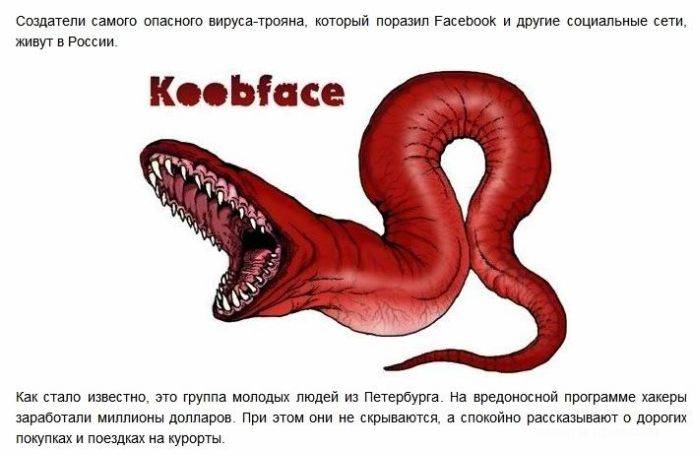 Создатели вируса Koobface (6 фото)