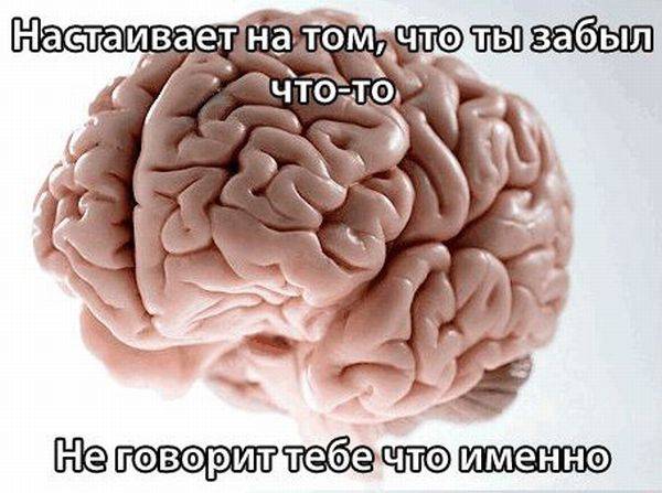 Как разум играет с нами (16 картинок)