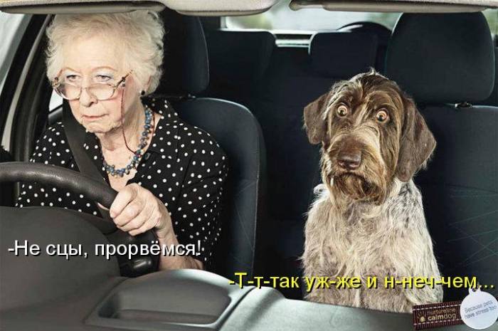 Картинки с забавными надписями