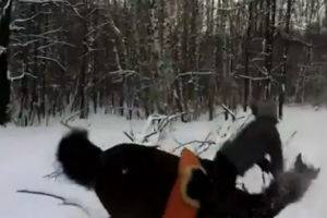 Лучшие фейлы первой недели февраля