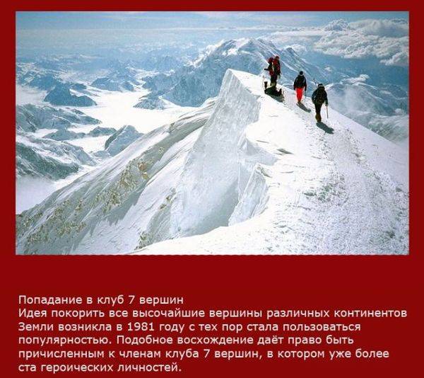 Самые интересные приключения нашего времени (19 фото)