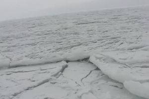 Скрип замерзающего моря