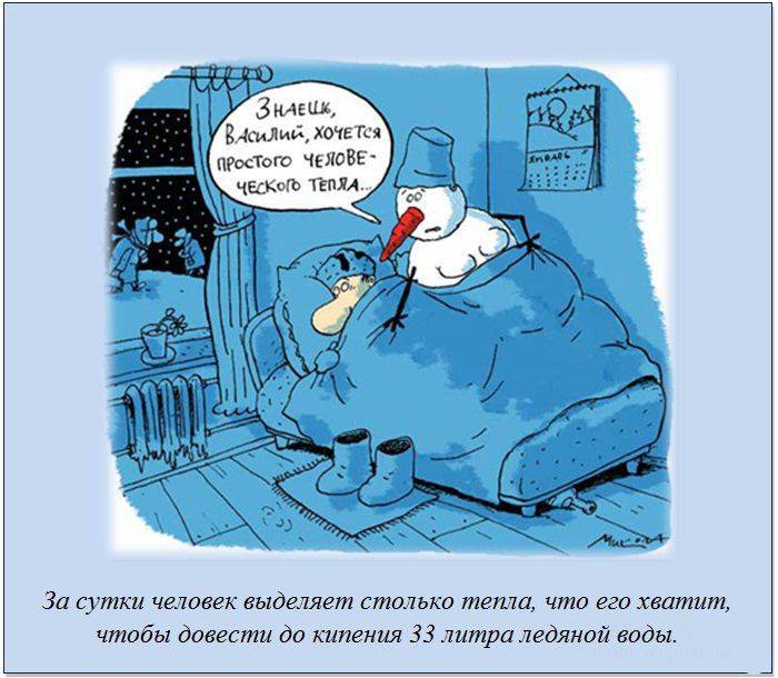 Интересные и познавательные факты (30 картинок)