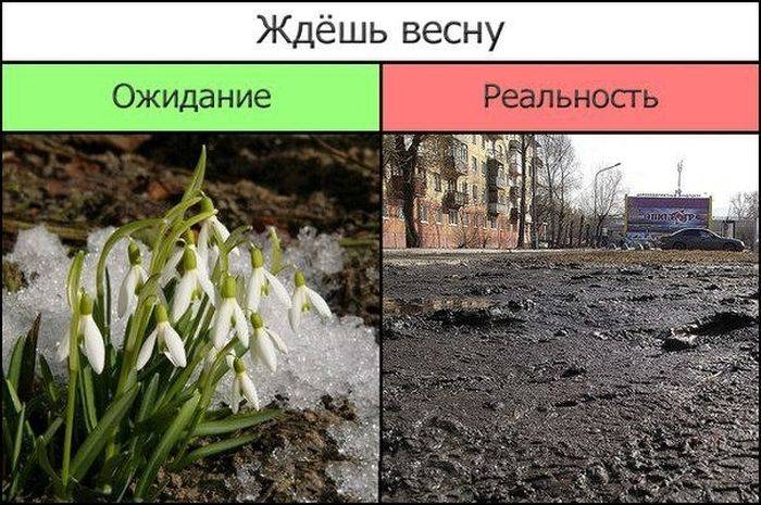 Отличная подборка прикольных картинок (95 фото)