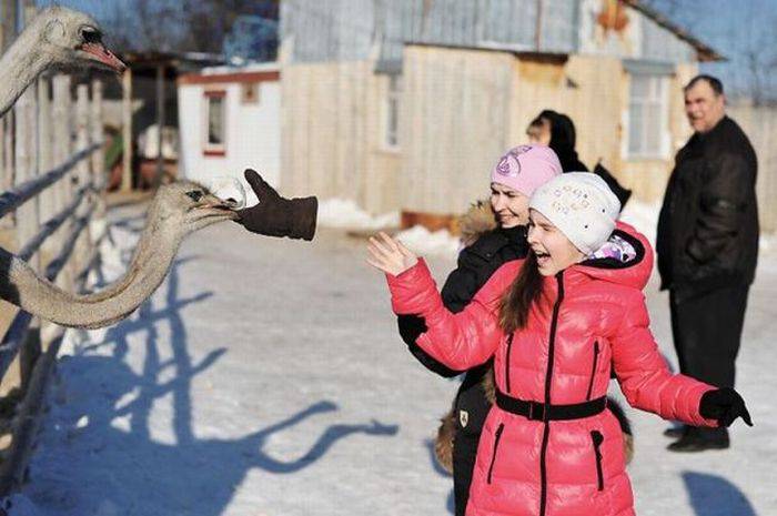Мега подборка прикольных картинок (99 фото)