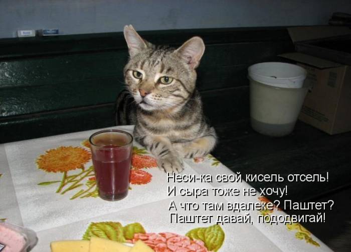 Картинки с забавными надписями