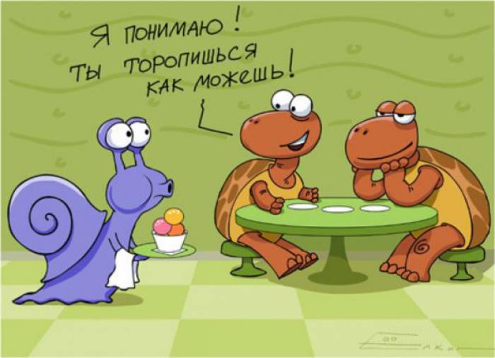 Забавные карикатуры