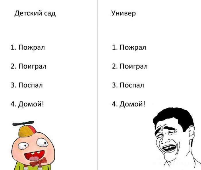 Лучшие смешнявочки
