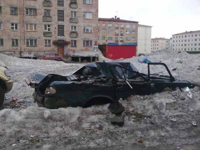 Норильские подснежники