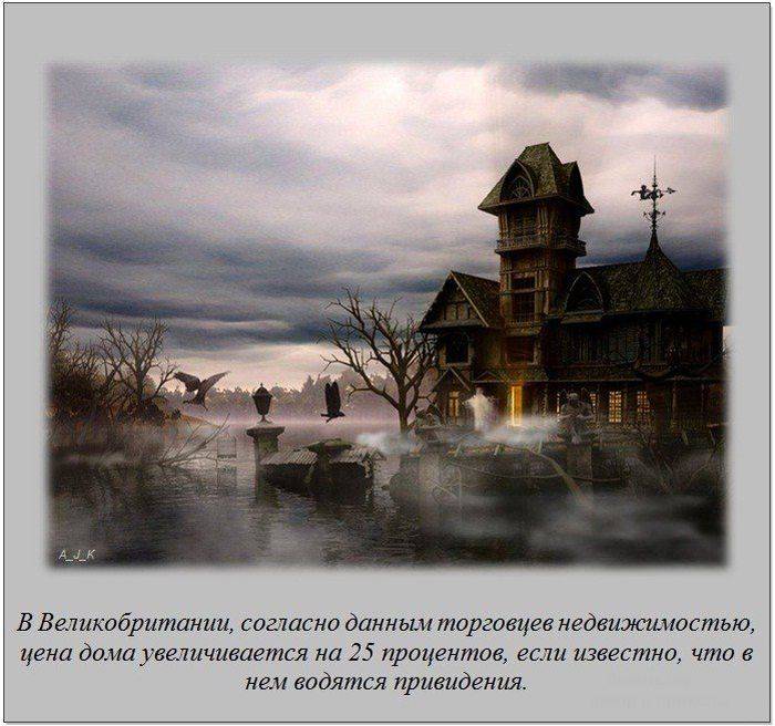 Интересные факты (20 фото)