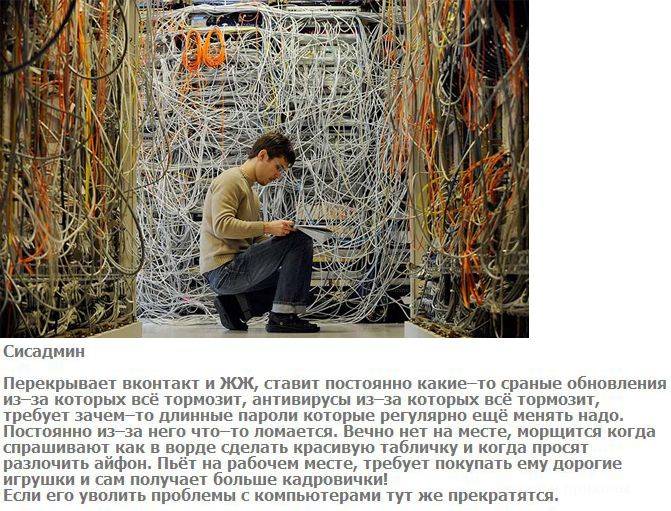 Взгляд на профессии