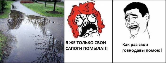 Ежедневная подборка няшек
