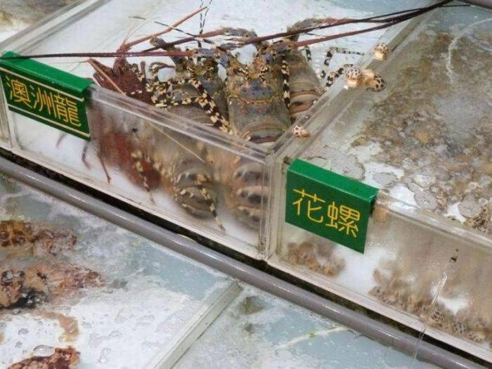 Блюда китайской кухн (27 фото)