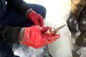 Рыбалка на пассатижи