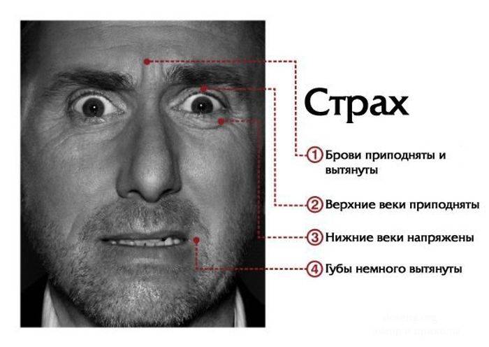 Не умеете читать по лицам? (7 фото)