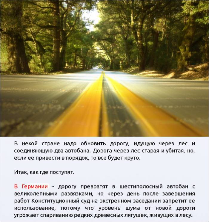 Обновление дороги проходящей через лес