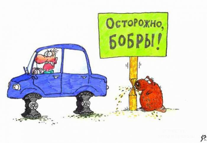 Забавные карикатуры
