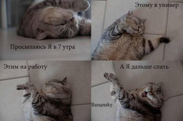 Весёлые комиксы