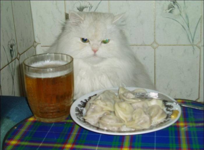Позитивные животные