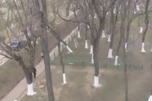 Зря покрасили