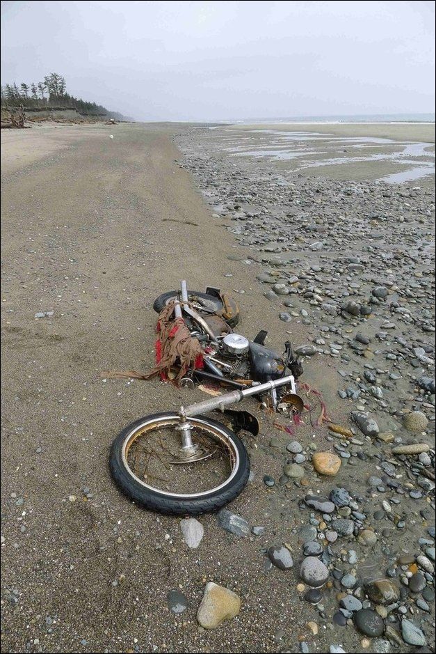 Путь Harley Davidson: Из Японии в Канаду и обратно (5 фото)
