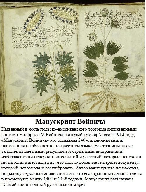Тайны и загадки мира (8 фото)