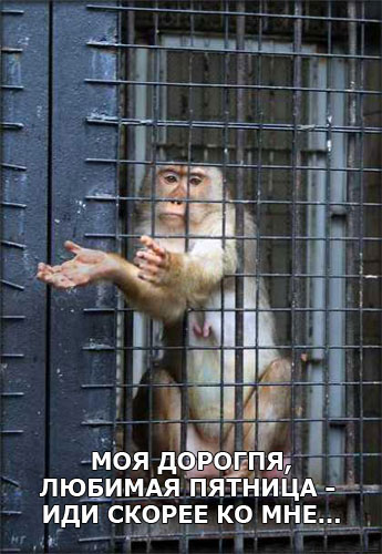 Всех с пятницей!
