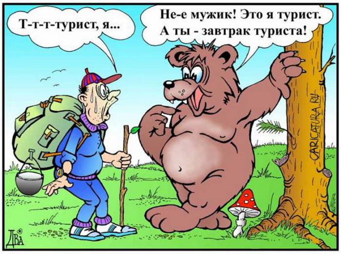 Забавные карикатуры
