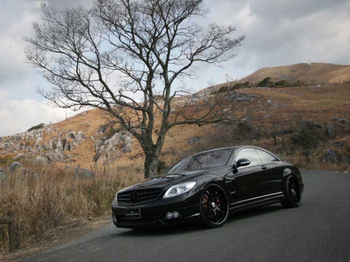 Wald Mercedes-Benz CL-Class