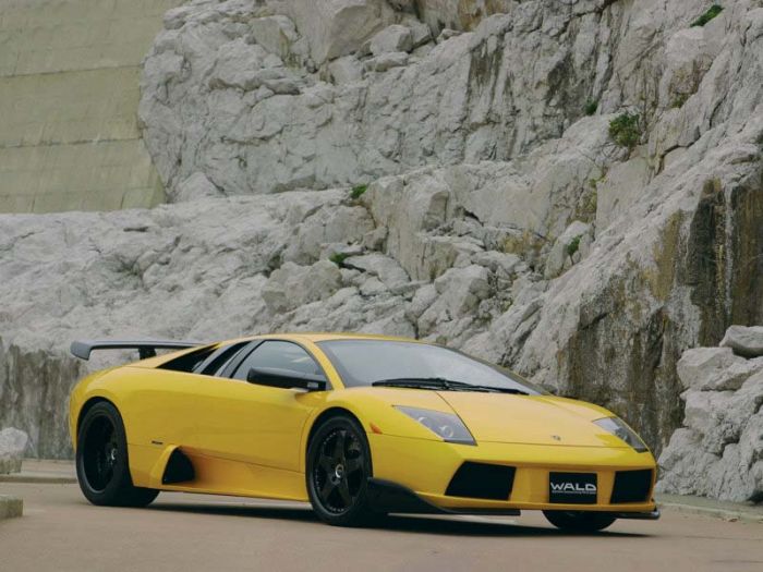 Wald Lamborghini Murcielago