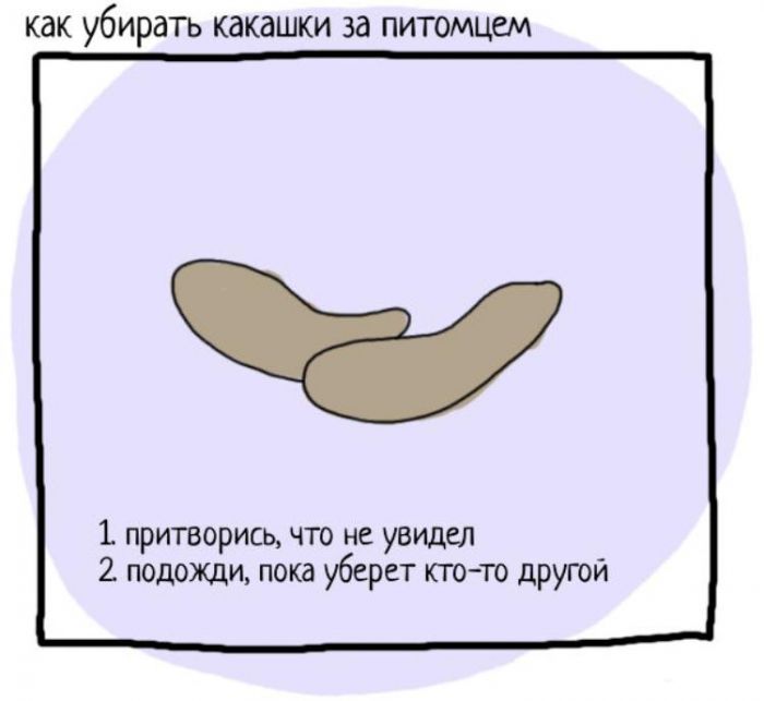 Маленькие вредные домашние советы (7 фото)