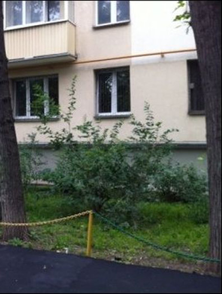 Новый асфальт и новый забор во дворе (3 фото)