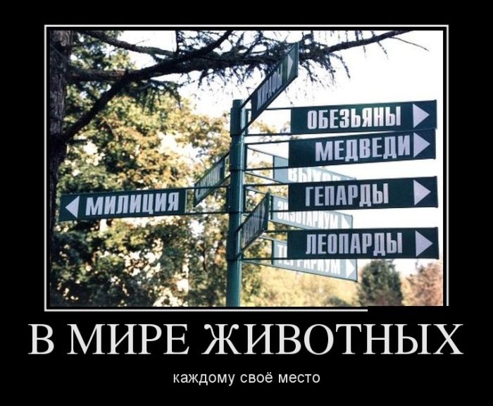 Демотиваторы на сегодня (30 фото)
