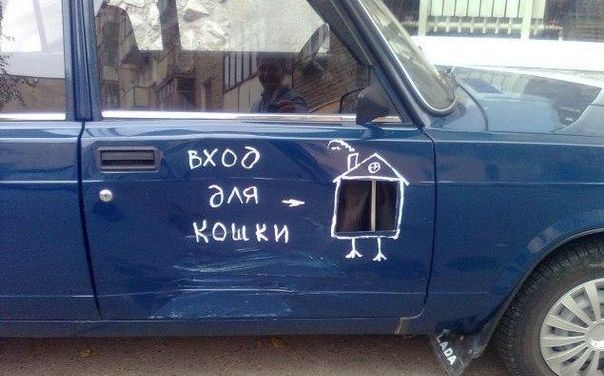 Отличная подборка прикольных картинок