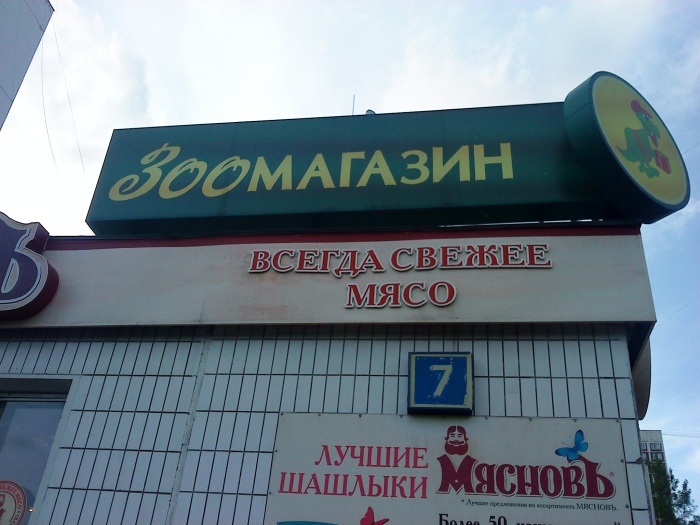 Подборка прикольных фото