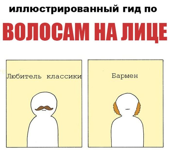 Описание личности по волосам (7 картинок)