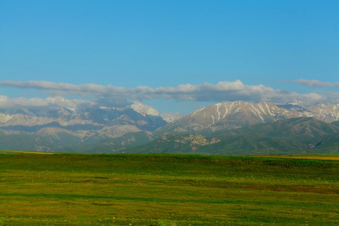 природа Южного Казахстана