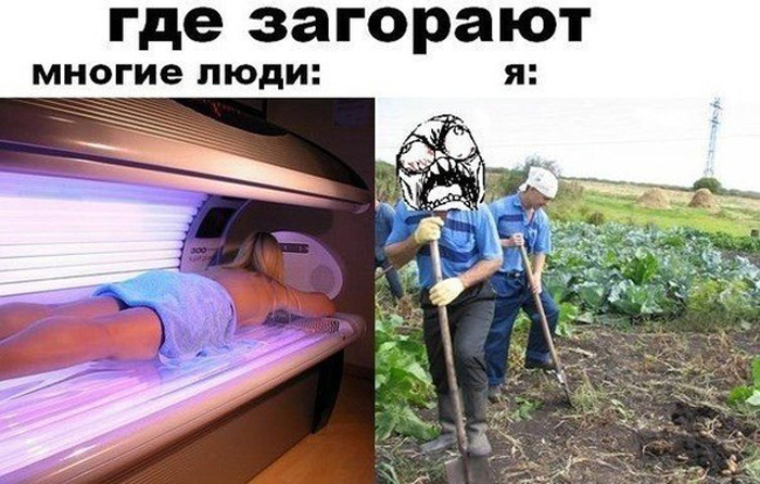 Отличная подборка прикольных картинок