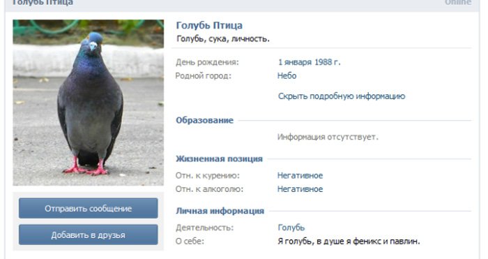 Голубь из соц. сетей (2 фото)
