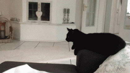 Дай пять, бро!