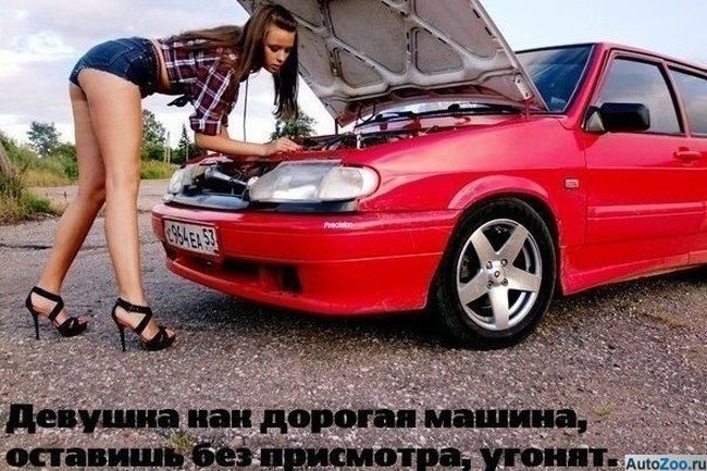 Прикольные афоризмы и цитаты про машины (20 фото)
