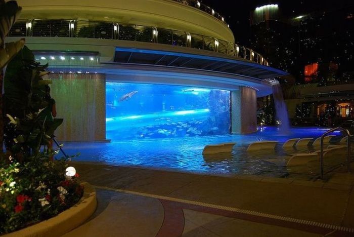 Необычные водные горки в бассейне (10 фото)