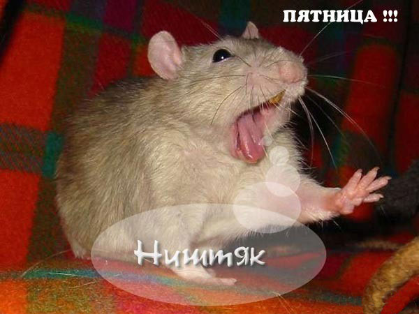 Ура, пятница!