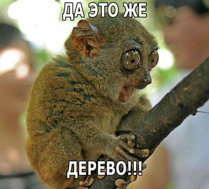 Подборка классных комиксов