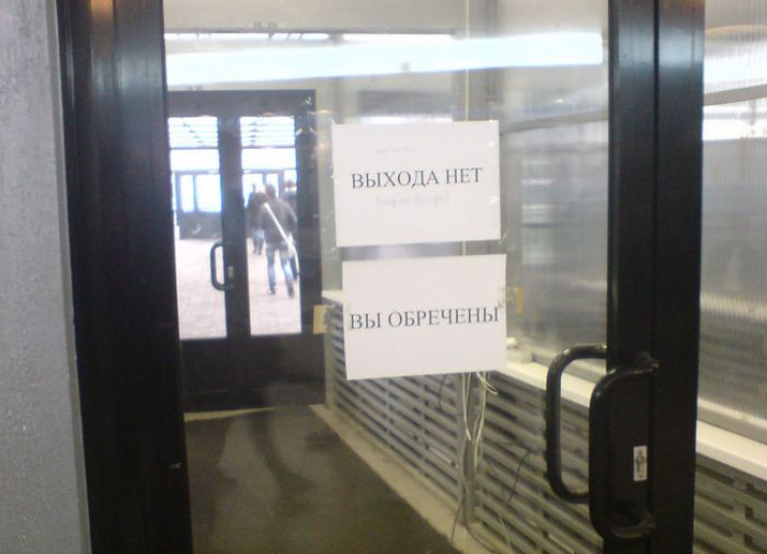 Маразмы из жизни