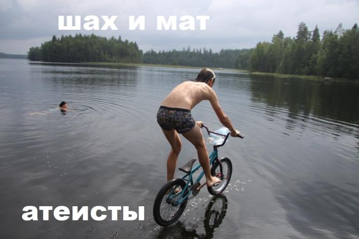 Подборка прикольных фото