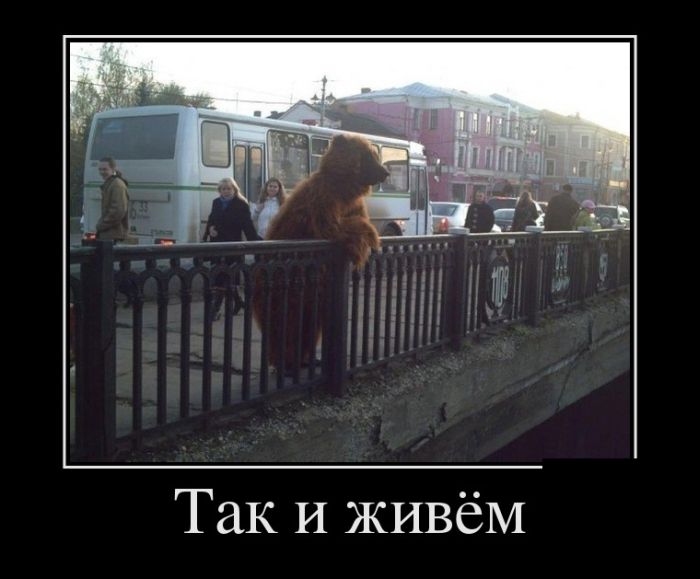 Прикольные демотиваторы со смыслом