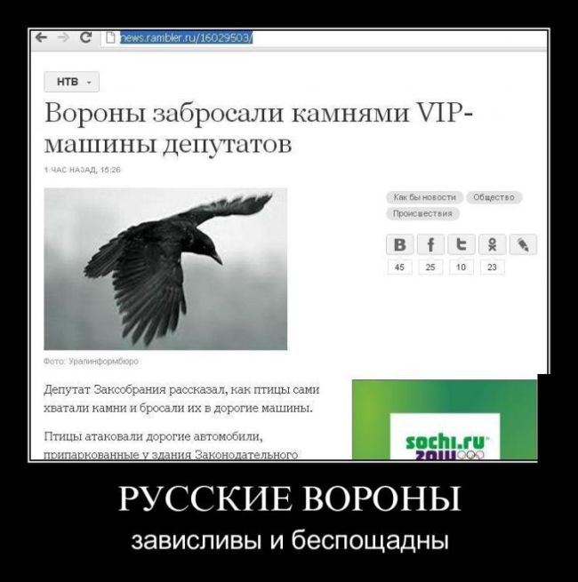 Прикольные демотиваторы с юмором