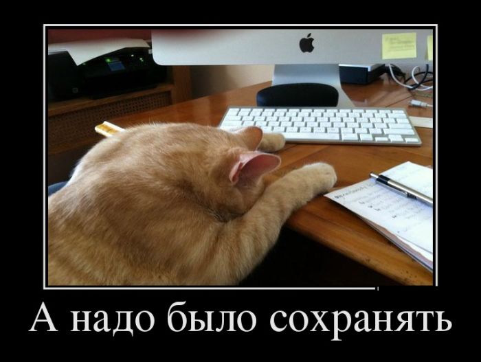 Пятничные демотиваторы
